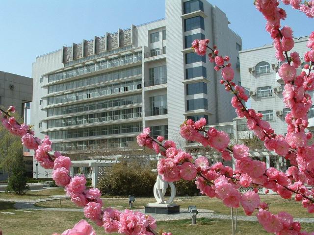 猛日中国美女逼视频